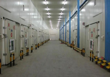 成功案例分享：冷庫倉儲(chǔ)管理系統(tǒng)在零售中的應(yīng)用