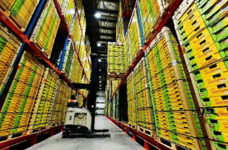 冷鏈倉儲系統(tǒng)的上架策略有哪些？