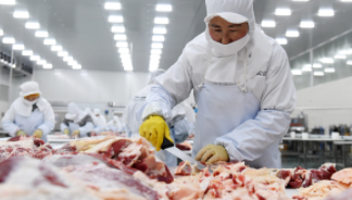 智能WMS冷庫管理系統(tǒng)適用行業(yè)分析