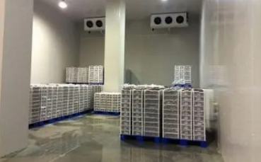 企業(yè)上線智能WMS冷庫管理系統(tǒng)前后對比：從傳統(tǒng)到智能化的蛻變