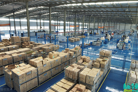 標領(lǐng)冷庫WMS與ERP系統(tǒng)集成：提升冷鏈物流管理效率的關(guān)鍵