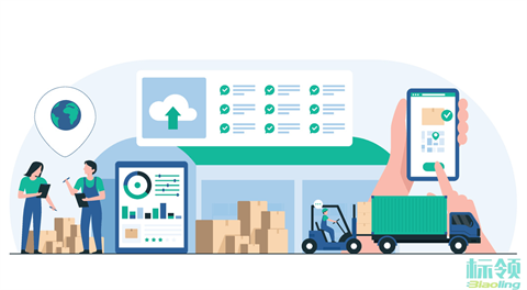 智能導航冷庫迷宮：WMS無縫聯(lián)動SAP，破解冷鏈揀貨與庫存管理世紀難題